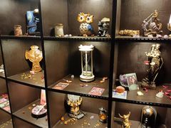 -雪灵魔法世界SHELLY’S TAROT(大良桂畔里店)