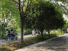 -武汉园博园(武汉自然博物馆)