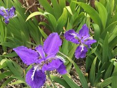 -蟹之国·精品蟹料理(极地店)