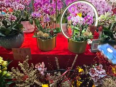 -东莞松山湖万象汇