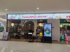 -假装苏杭·迎春花与梅(陆家嘴中心店)