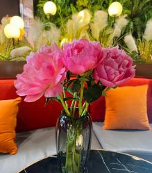 -花隐·美芙炫海菲秀皮肤管理中心