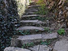 -杨家堂村