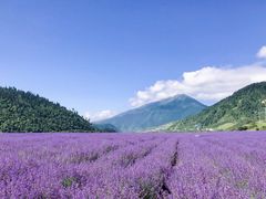 -云峰山自然风景区