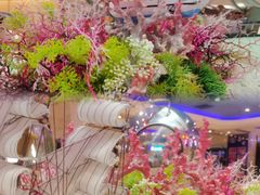 -海韵之星邮轮水会(明发商业广场店)