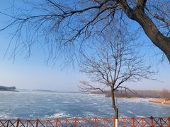 -丁香湖公园