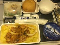 -新加坡航空公司(ION)