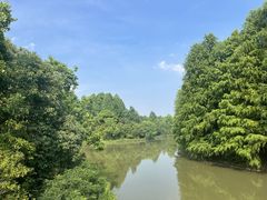 -上海海湾国家森林公园