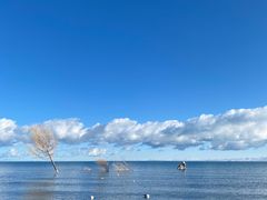 -青海湖国家重点风景名胜区