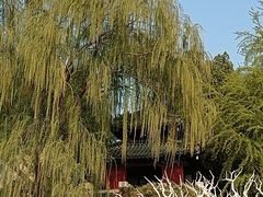 -济南大明湖景区