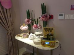 -蕾蕾美颜美容美体