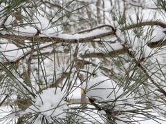 -三个大叔烤羊肉串·炭炉砂锅菜(西三旗店)