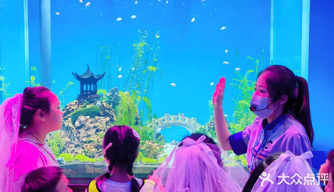 今晚睡在海世界的帐篷里，监督鲨鱼睡觉！