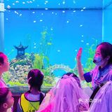 今晚睡在海世界的帐篷里，监督鲨鱼睡觉！