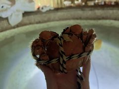 -春晖园度假酒店温泉