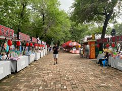 -哈尔滨文化公园