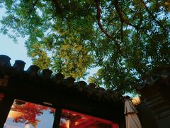 -SUSU·苏苏(四合院创始店)