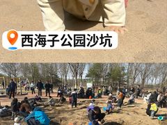 -西海子公园