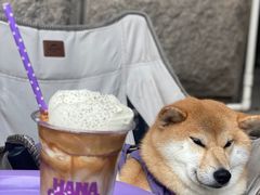 -HANA COFFEE(长寿路店)