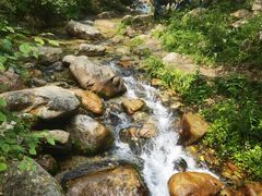 -玉渡山自然风景区