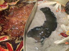 -蜀国大将老火锅(江北店)