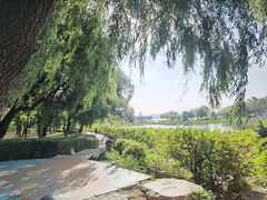 -长春市南湖公园