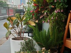 -MONANA蛋糕研究所