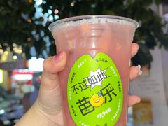 -伏小桃(明瓦廊店)