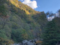 -青峰峡国家森林公园