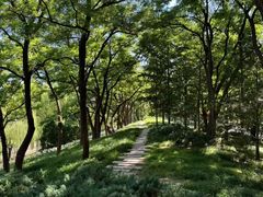 -元大都城垣遗址公园