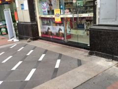 -宠物星动物医院·眼科·异宠·猫科(江南大道总院)