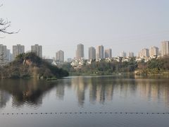 -重庆彩云湖湿地公园
