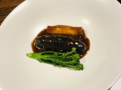 -觀芷隐轩