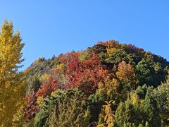 -遵化市禅林寺古银杏风景园