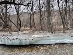 -洮儿河国家湿地公园