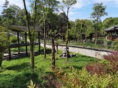 -中国大熊猫保护研究中心雅安碧峰峡基地