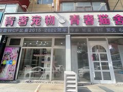 -青奢宠物·青奢猫舍