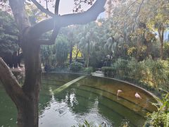 -九龙公园
