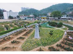 景点-玫瑰小镇