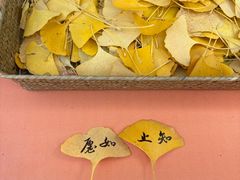 -承恩寺