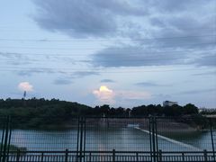 -广东花都湖国家湿地公园