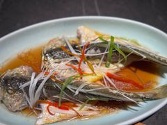 -前海沿·青岛菜(大拇指广场石老人店)