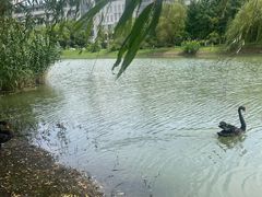 -江南大学(蠡湖校区)