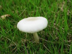 -中国天府农业博览园