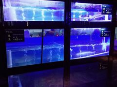水产区-严厨老坛酸菜鱼(吴江万宝店)
