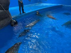 -海合安成都极地海洋公园