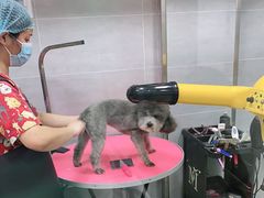 -宠福鑫康馨动物医院·骨科·眼科
