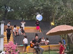 -十亩森林