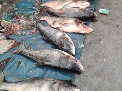 -海天市场(淮河路店)