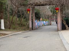 -合肥野生动物园